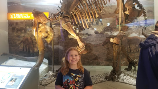 Book Store «Barnes & Noble», reviews and photos, 8117 Sudley Rd, Manassas, VA 20109, USA