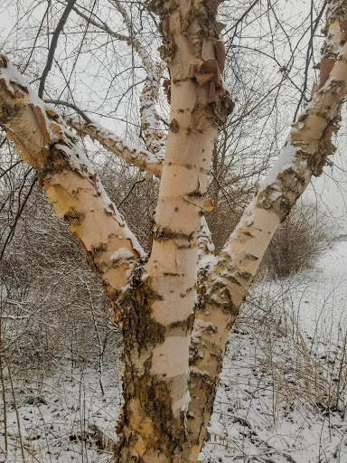 Municipality «Country Lakes Park», reviews and photos, 1835 N Aurora Rd, Naperville, IL 60563, USA