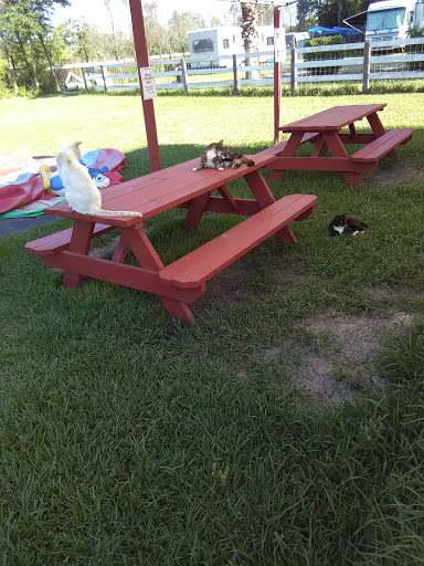 Zoo «Petting zoo Ocala», reviews and photos, 11150 FL-40, Ocala, FL 34482, USA