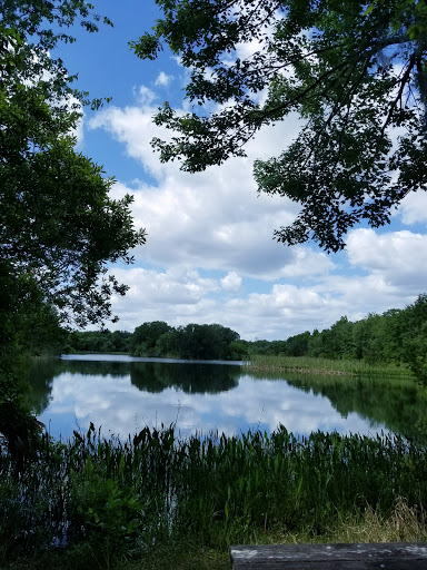 Park «Alafia River State Park», reviews and photos, 14326 S County Rd 39, Lithia, FL 33547, USA