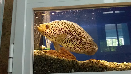 Варненският аквариум