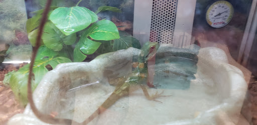 Pet Supply Store «Petco Animal Supplies», reviews and photos, 1624 Governors Square Blvd, Tallahassee, FL 32301, USA