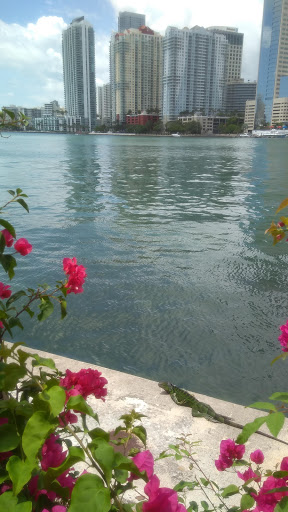 Park «Brickell Key Park», reviews and photos, Brickell Key Dr, Miami, FL 33131, USA