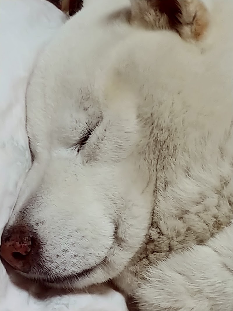 よしえ美容室 徳島県藍住町矢上原 美容院 美容院 グルコミ