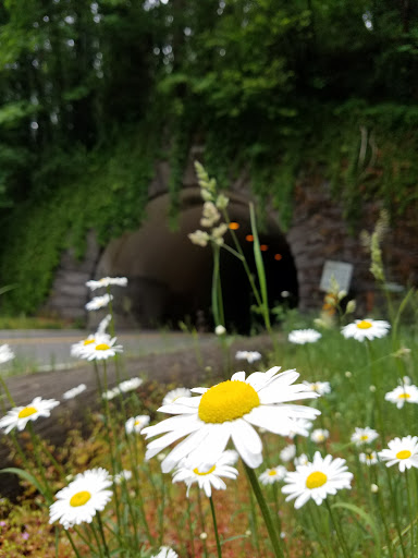 Park «Macleay Park», reviews and photos, NW 29th Ave & Upshur St, Portland, OR 97210, USA