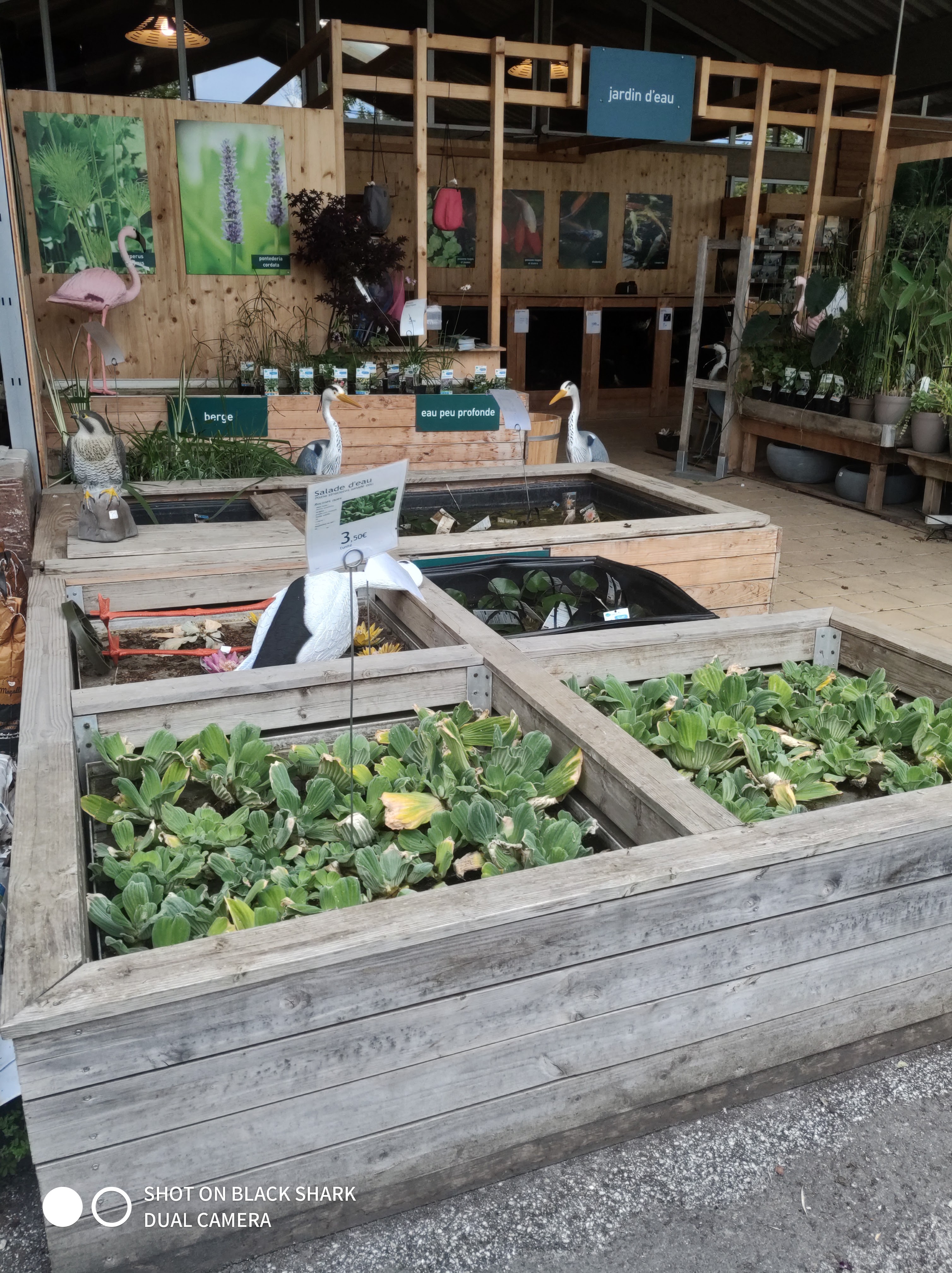 Photo n° 3 de l'avis de Altar. fait le 17/07/2019 à 14:23