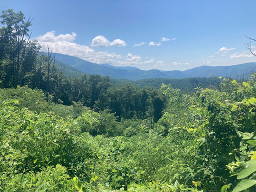 Baskins Creek Trail Trailhead