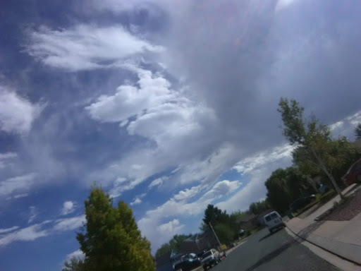 Park «Wildflower Park», reviews and photos, 980 Nolte Dr N, Colorado Springs, CO 80916, USA