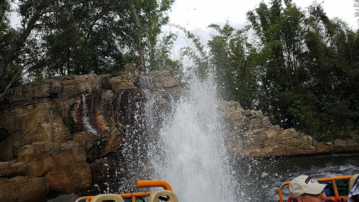 Tourist Attraction «Kali River Rapids», reviews and photos, Asia, Kissimmee, FL 34747, USA