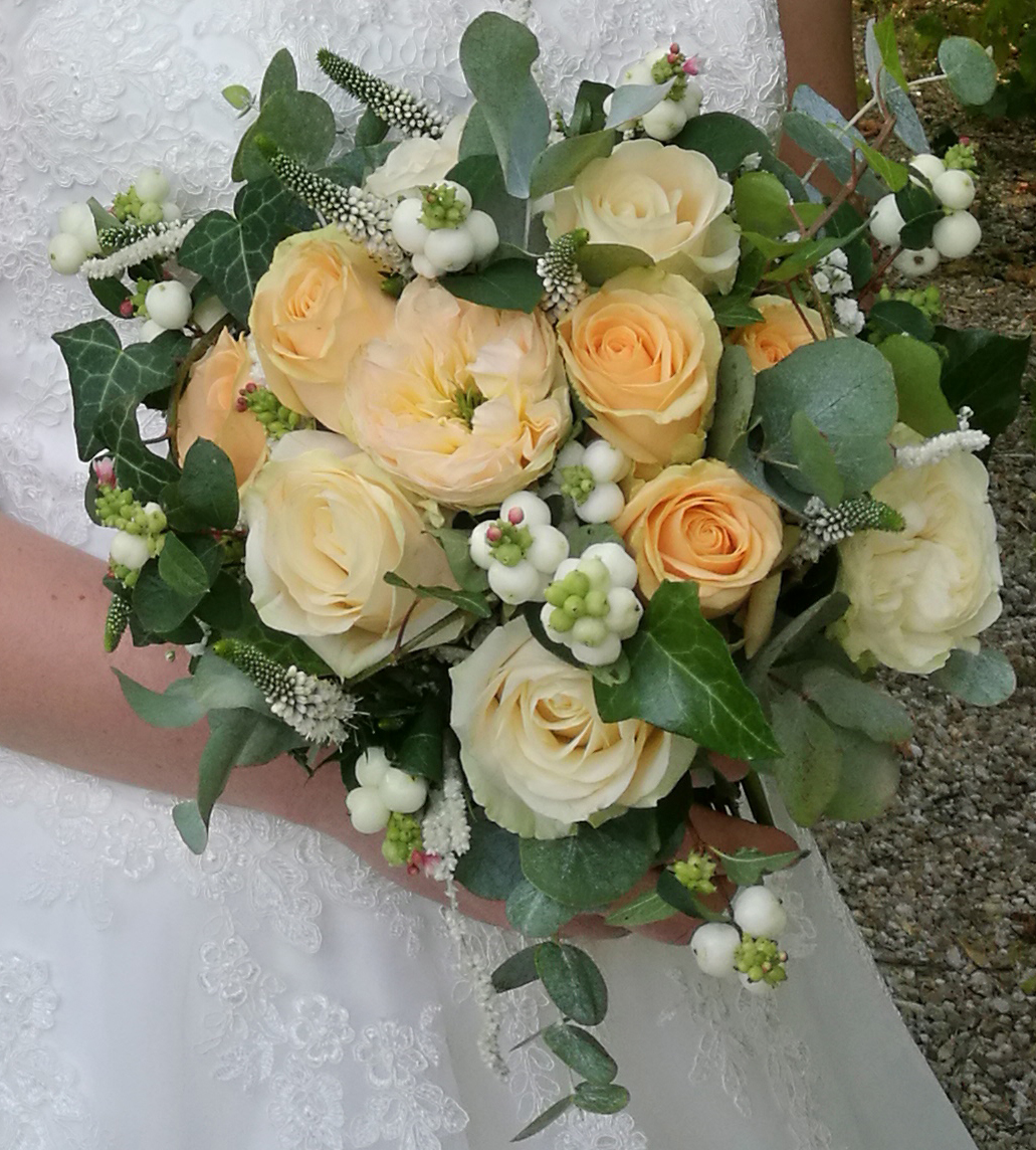 Photo n° 1 de l'avis de Juliette. fait le 02/09/2019 à 09:37