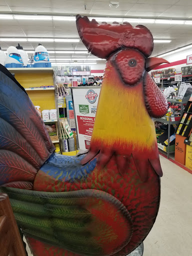 Home Improvement Store «Tractor Supply Co.», reviews and photos, 389 Comfort Dr, Harrison, OH 45030, USA
