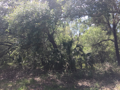 Nature Preserve «Marshall Hampton Reserve», reviews and photos, 3115 Thornhill Rd, Winter Haven, FL 33880, USA