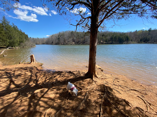 Pet Store «Reigning Cats & Dogs», reviews and photos, 219 E Davis St, Culpeper, VA 22701, USA