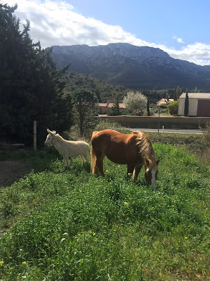 Domaine des Enfants à Maury