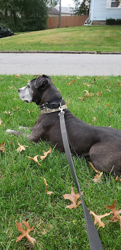 Photo of Guidetti Victor