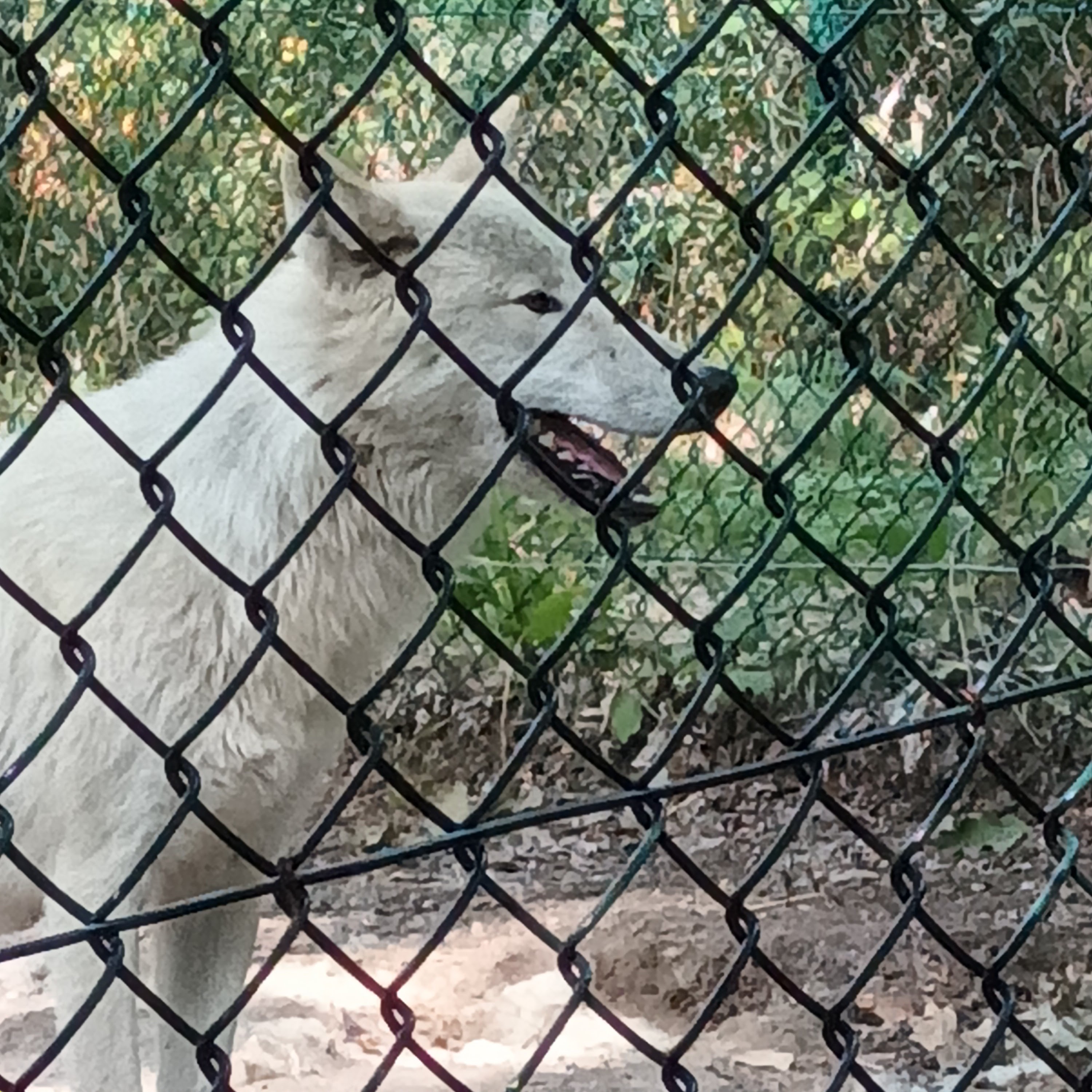 Photo n° 13 de l'avis de Jean.u fait le 20/07/2023 à 15:55