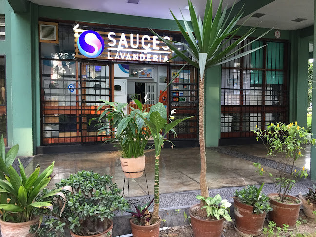 Opiniones de Sauces Lavandería en Lima - Lavandería