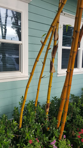 Donut Shop «The Donut Experiment», reviews and photos, 210c Pine Ave, Anna Maria, FL 34216, USA