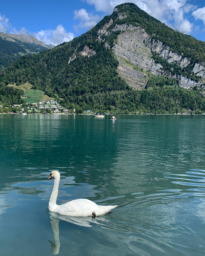 Rezensionen über Gäsi Strand in Glarus Nord - Yoga-Studio