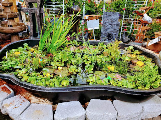 Hardware Store «McLendon Hardware», reviews and photos, 1111 Fryar Ave, Sumner, WA 98390, USA