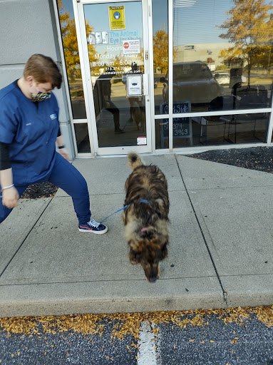 Animal Eye Institute of Cincinnati: Haeussler D J DVM image