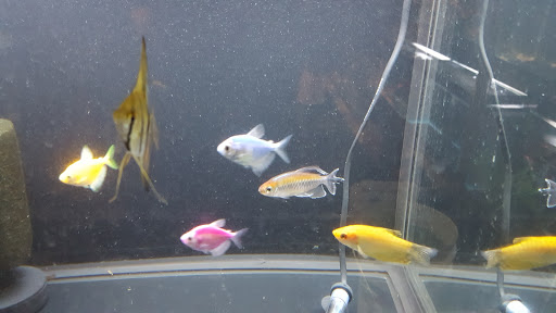 Pet Store «Mike Pet Center LLC», reviews and photos, 133 NJ-35, Neptune City, NJ 07753, USA