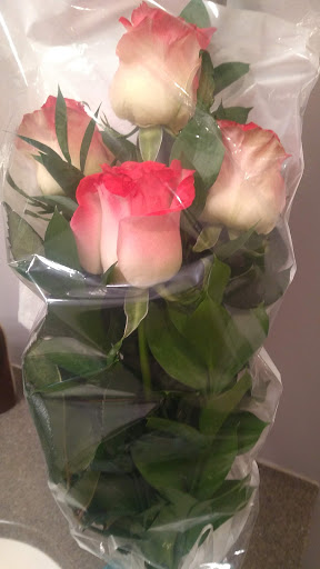 Florist «White Bear Floral Shop & Greenhouse», reviews and photos, 3550 Hoffman Rd E, White Bear Lake, MN 55110, USA