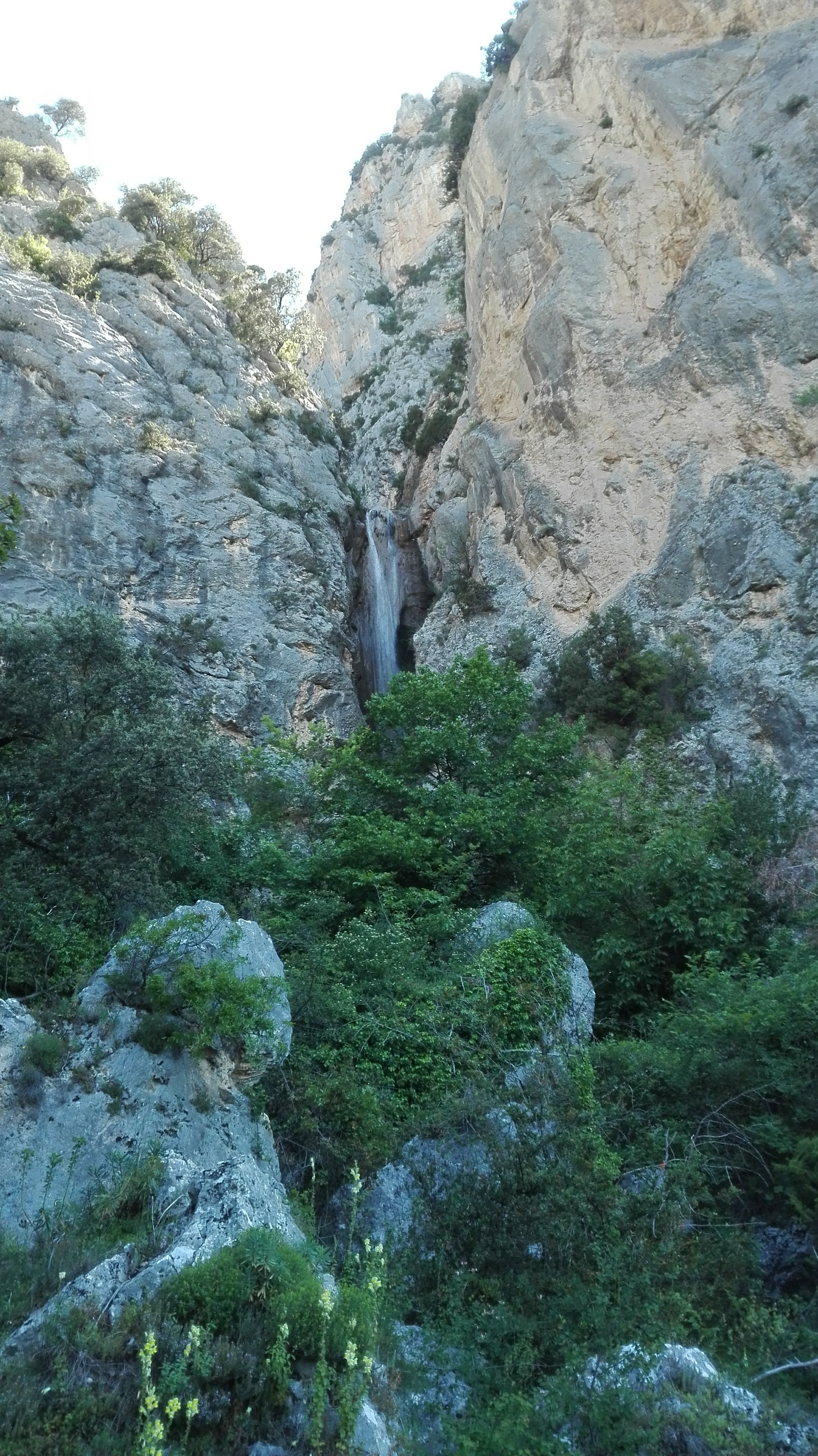 Photo n° 3 de l'avis de Noelle.u fait le 16/06/2019 à 18:52