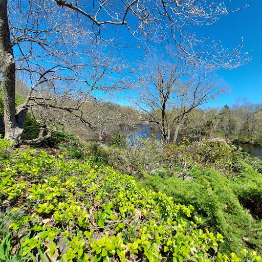 Monument «Minute Man Statue», reviews and photos, Monument St, Concord, MA 01742, USA