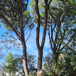 Photo n° 6 de l'avis de frank.h fait le 05/10/2021 à 15:52 pour Parc de la Maison Blanche à Marseille