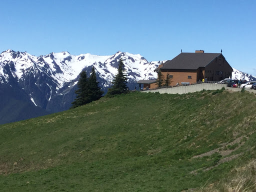 National Park «Olympic National Park», reviews and photos, 3002 Mt Angeles Rd, Port Angeles, WA 98362, USA