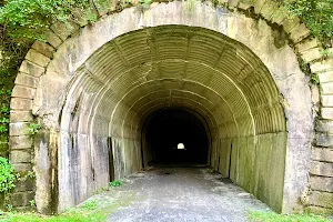 Staple Bend Tunnel image