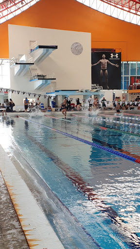 Gimnasios con piscina en Ciudad de Mexico