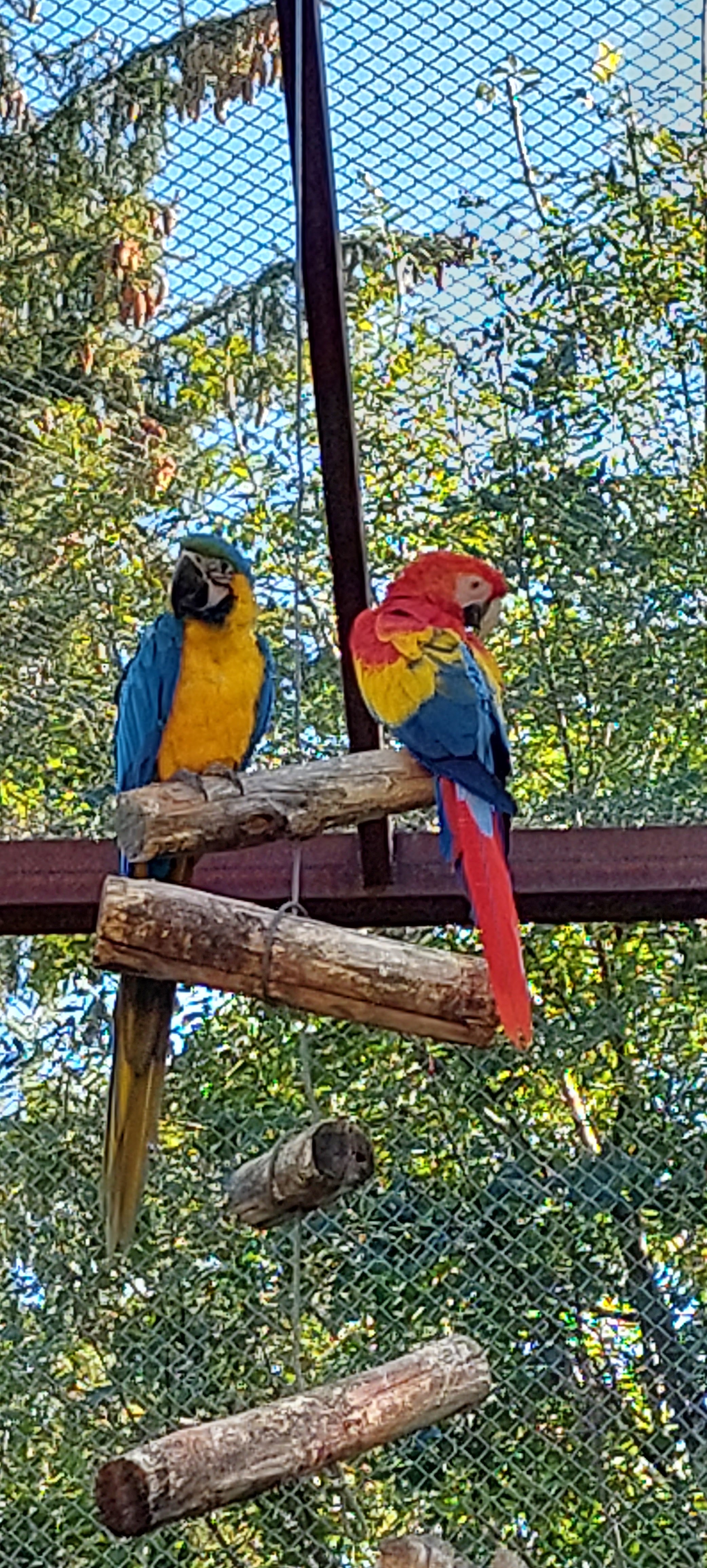 Photo n° 12 de l'avis de nathalie.E fait le 08/10/2023 à 08:49