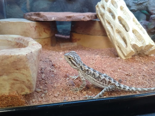 Pet Supply Store «Petco Animal Supplies», reviews and photos, 179 N Milwaukee St, Boise, ID 83704, USA