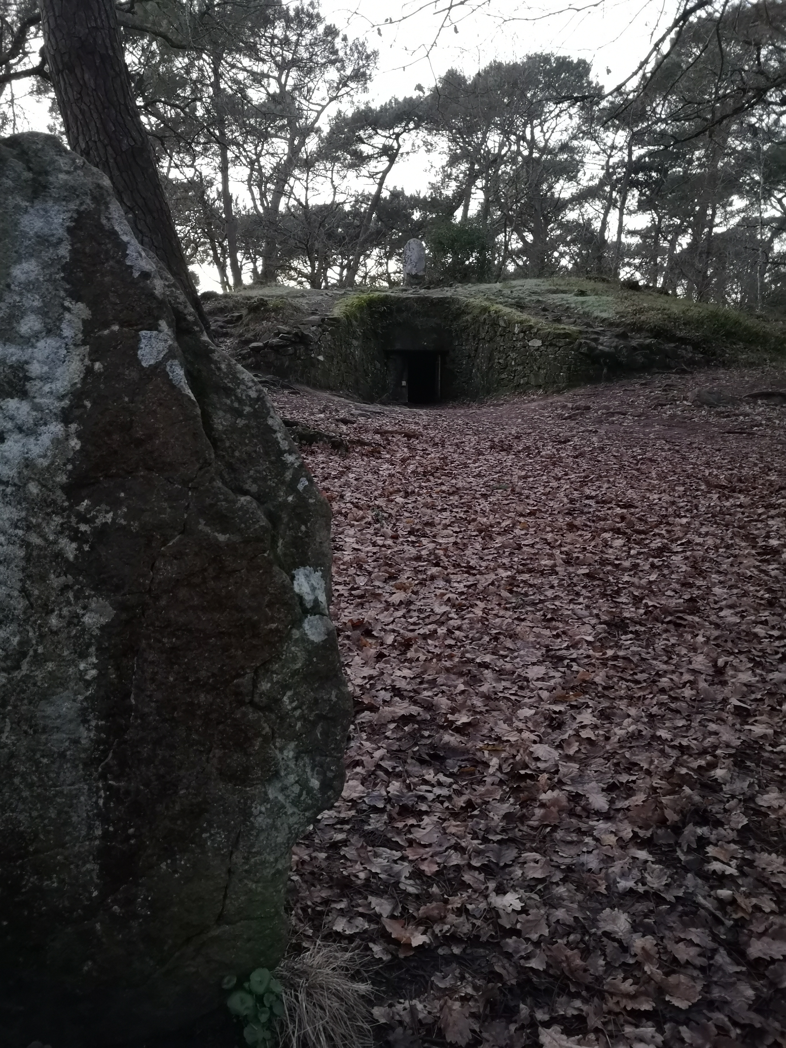Photo n° 1 de l'avis de Matthieu.h fait le 27/01/2019 à 19:31