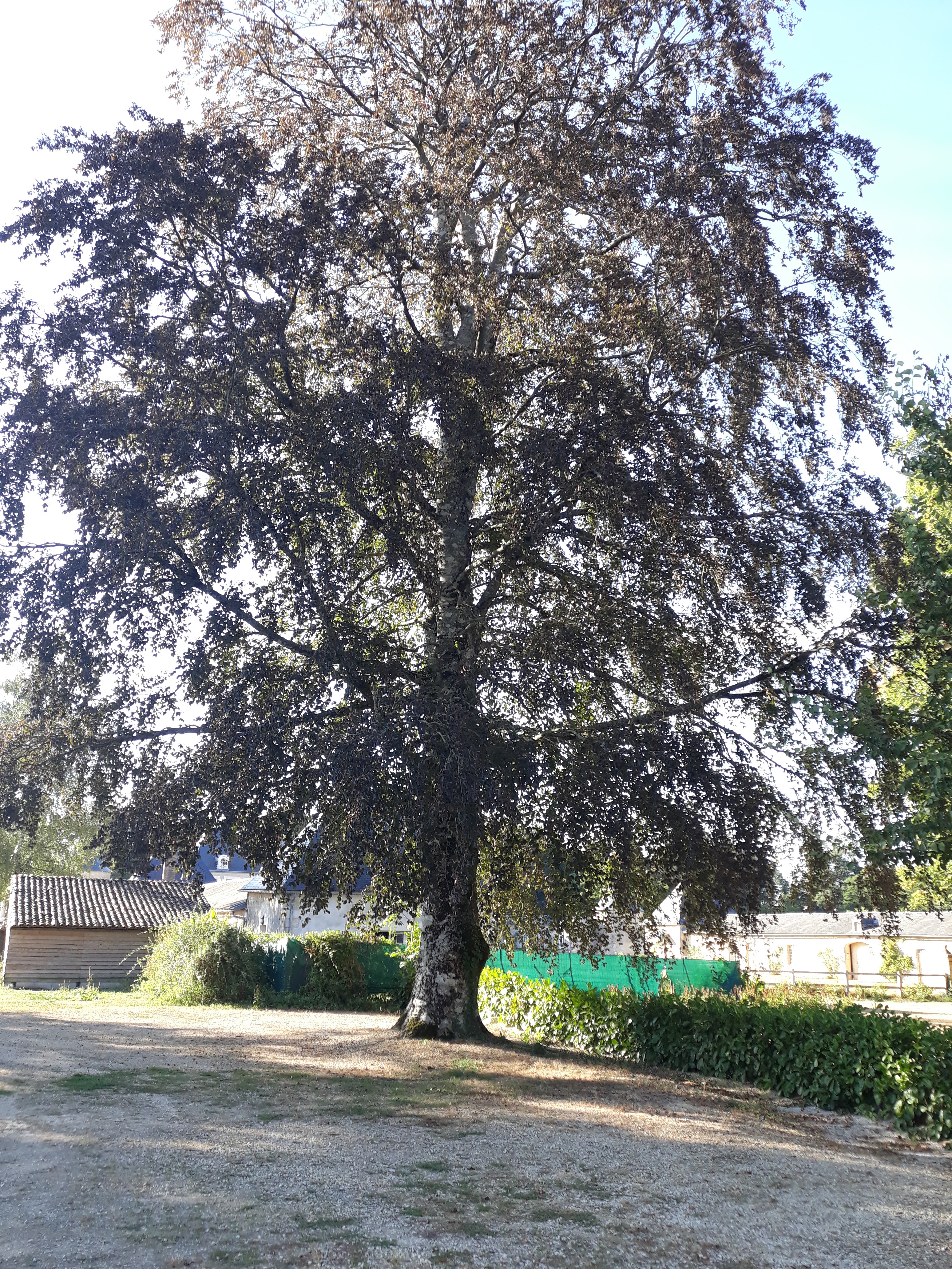 Photo n° 1 de l'avis de Nathalie.o fait le 16/09/2018 à 06:02