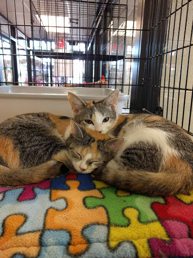 Animal Shelter «One of A Kind Pet Rescue», reviews and photos, 1929 W Market St, Akron, OH 44313, USA