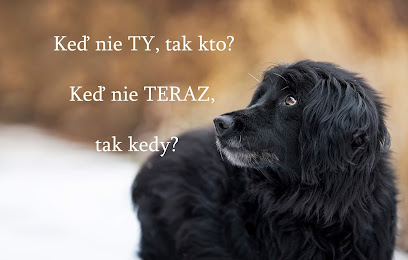 HAFKÁČI