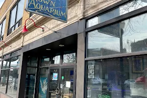 Old Town Aquarium image