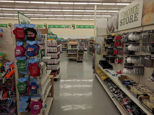 Dollar Store «Dollar Tree», reviews and photos, 2090 Olympic St, Springfield, OR 97477, USA