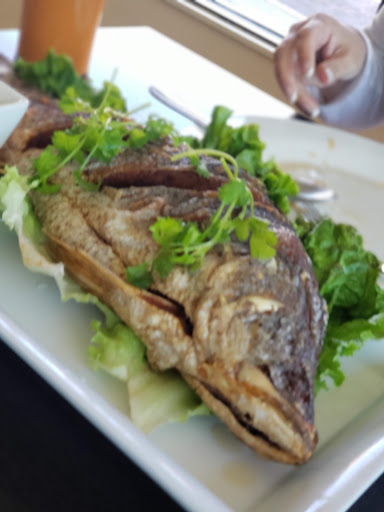 Shopping Mall «Promenade Shopping Center», reviews and photos, 7485 Rush River Dr, Sacramento, CA 95831, USA