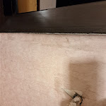 Photo n°3 de l'avis de andrea.a fait le 08/10/2023 à 11:09 sur le  Hotel Ariston à Venice