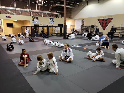 Martial Arts School «Phoenix BJJ & MMA Academy», reviews and photos, 500 N Bullard Ave #31, Goodyear, AZ 85338, USA