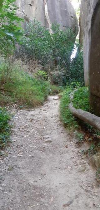 Photo n° 2 de l'avis de Dominique.o fait le 16/08/2021 à 19:43
