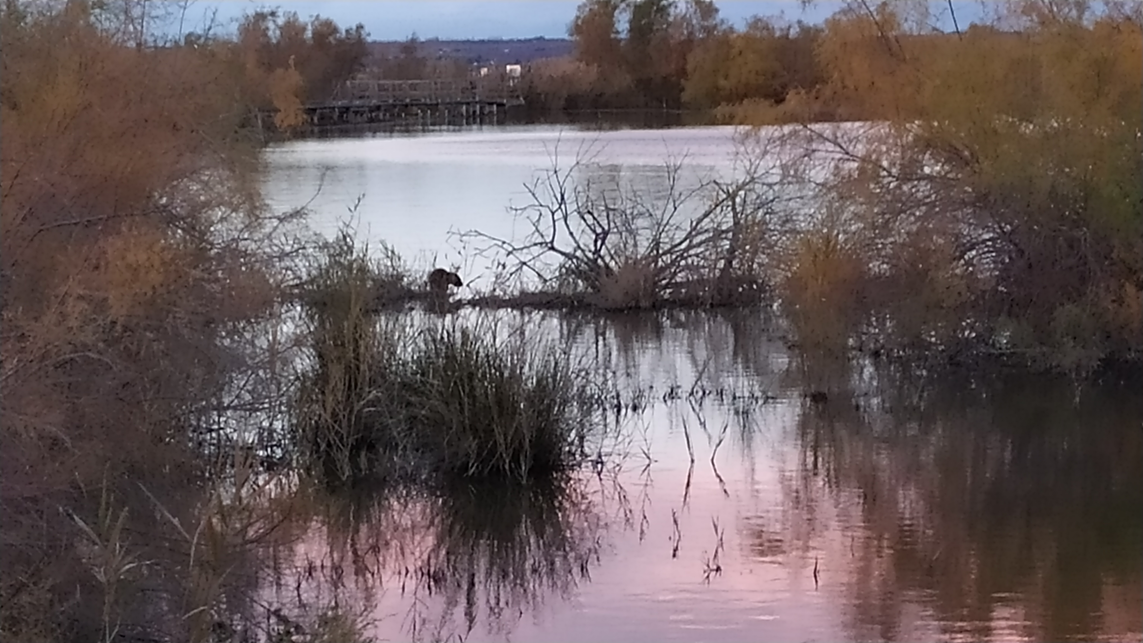 Photo n° 3 de l'avis de christine.a fait le 18/12/2019 à 18:45