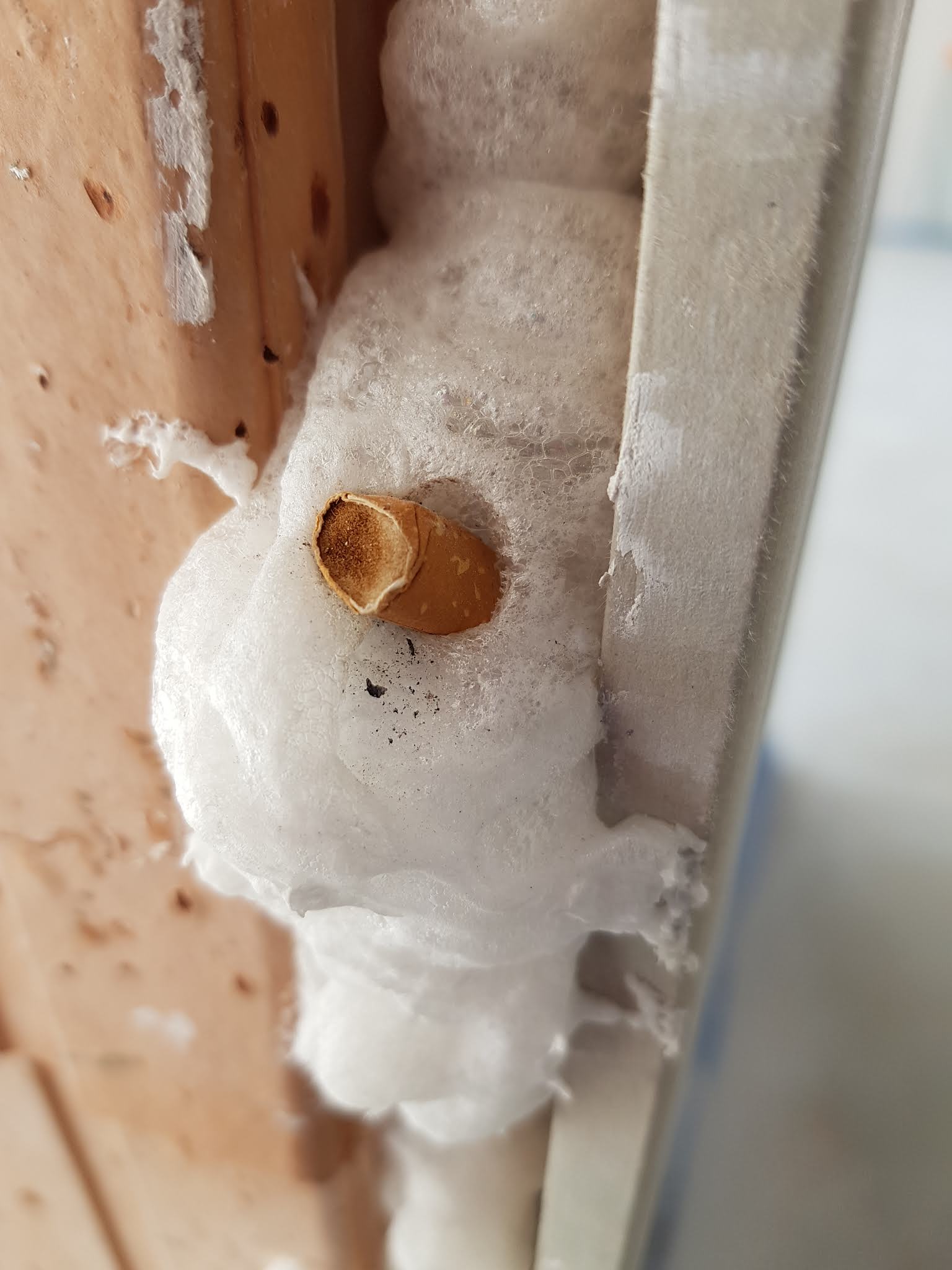 Photo n° 4 de l'avis de C.U fait le 05/07/2019 à 14:21