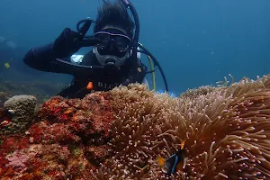 Diving Instructor Center Izu image