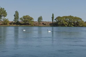 Río Limay image