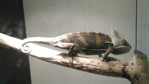 Pet Store «Inland Reef Pet Store», reviews and photos, 817 Cross Lanes Dr, Cross Lanes, WV 25313, USA